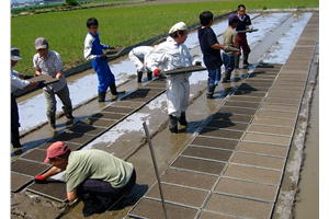 ショートステイ